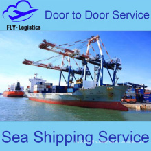 LCL Freight DDP Sea Shipping